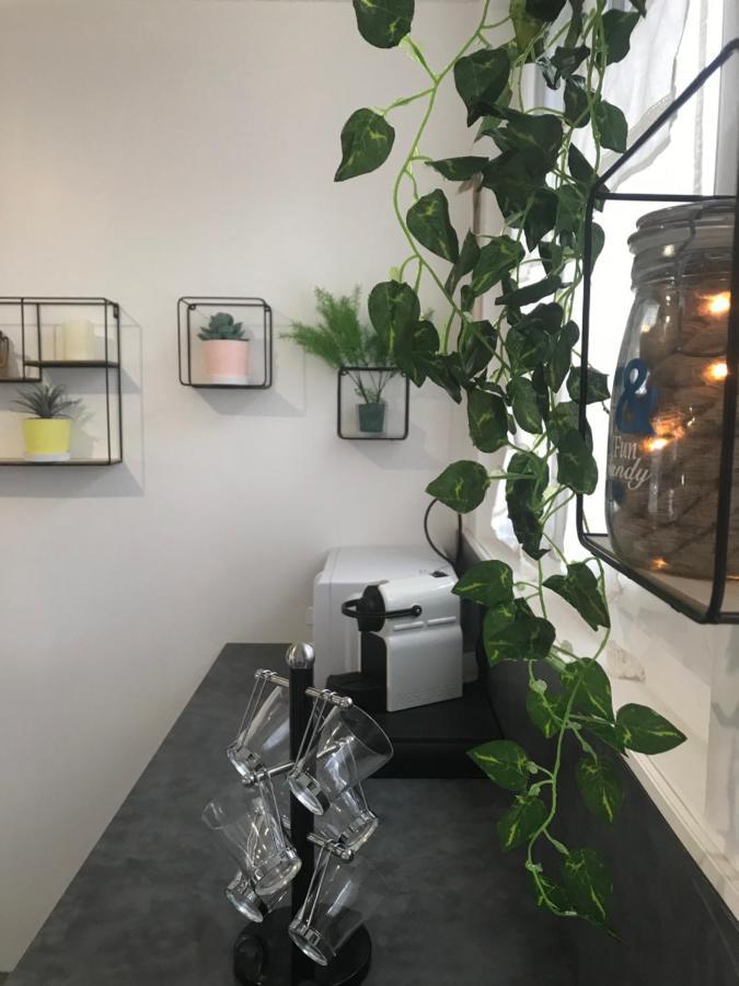 Maison 4 Chambres Jardin Et Parking Deols Luaran gambar